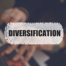 Everything You Must Know About Over-Diversification