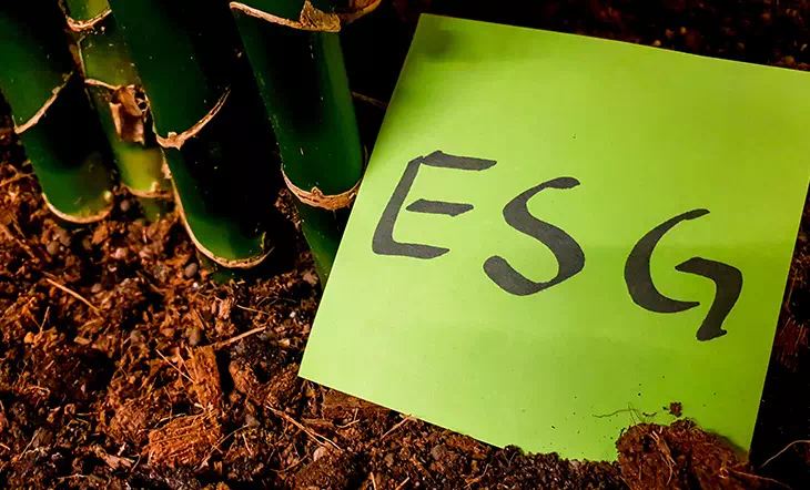 5 Things You Should Know Before Investing in ESG funds